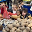 Les maternelles font leur marché !